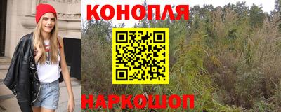 прущие грибы Заводоуковск
